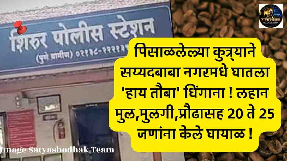 Dog Bite Shirur:शिरूरमधील सय्यदबाबा नगर येथे पिसाळलेल्या कुत्र्याने लहान मुले, मुली आणि प्रौढांसह 20 ते 25 जणांना चावा घेतल्याची घटना