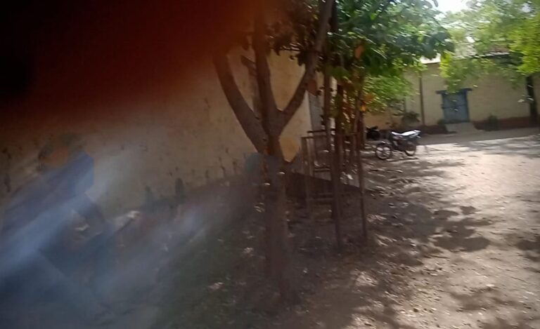 SAVE_20241208_195510