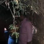 Breaking News Police Raid at Midnight : आण्णापुर येथील झुडपांमध्ये सुरू असलेल्या बेकायदेशीर हातभट्टीवर पोलिसांची कारवाई करताना दिसणारे दृश्य