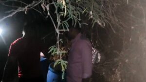 Breaking News Police Raid at Midnight : येवलेमाथ्यावर मध्यरात्रीची धाड – झुडपांतून पळाले हातभट्टी दारूवा़ले : हजारोंचा मुद्देमाल जप्त