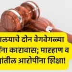 Shirur Court News ; शिरूर न्यायालयाकडून दोन वेगवेगळ्या प्रकरणांत दोषींना कारावासाची शिक्षा !;